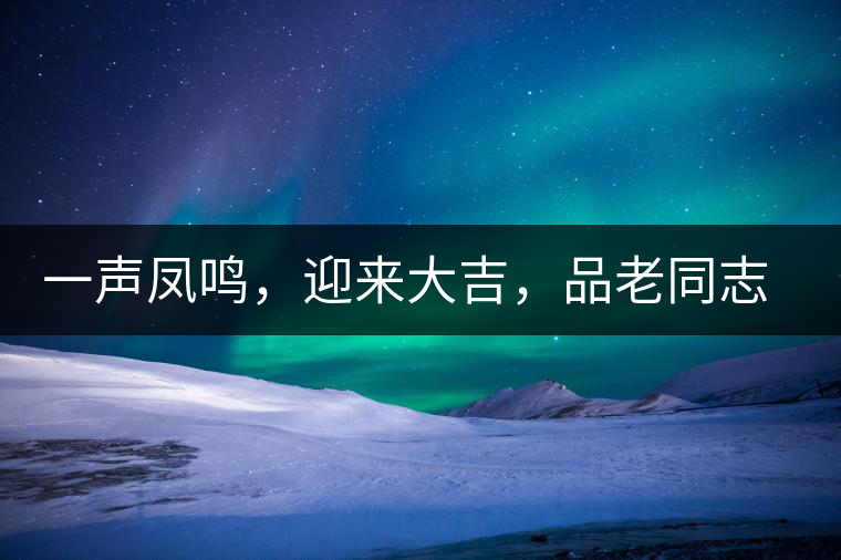 一聲鳳鳴，迎來大吉，品老同志鳳鳴吉至