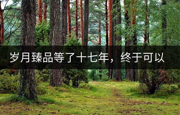 歲月臻品等了十七年，終于可以品味歲月