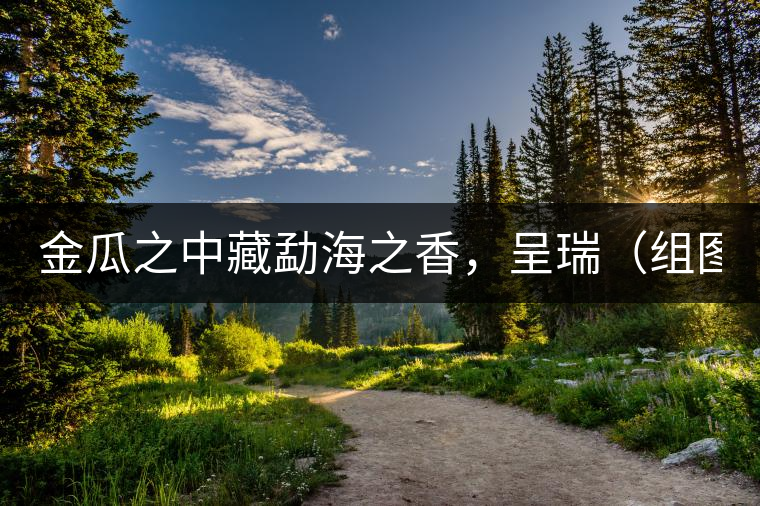 金瓜之中藏勐海之香，呈瑞（組圖）