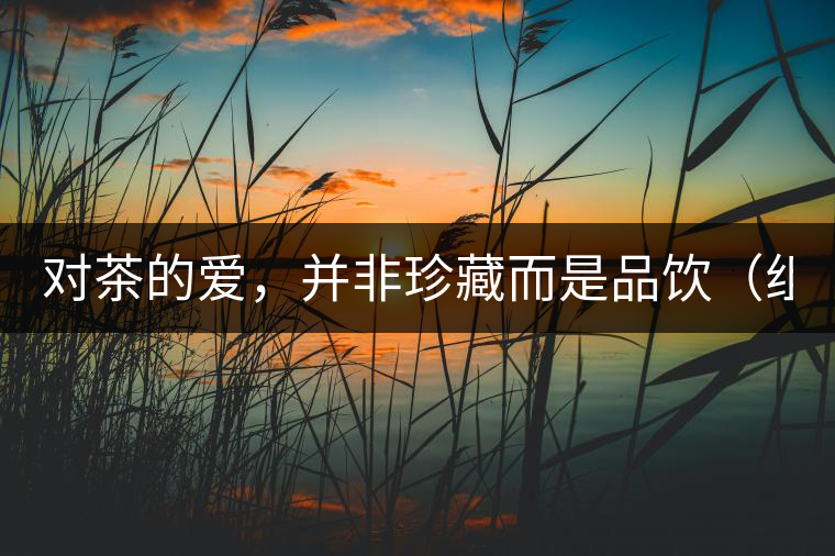 對茶的愛，并非珍藏而是品飲（組圖）