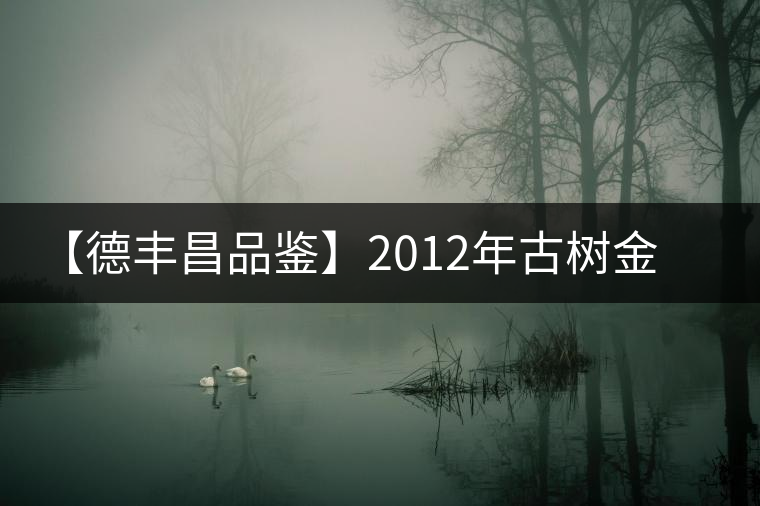 【德豐昌品鑒】2012年古樹金芽