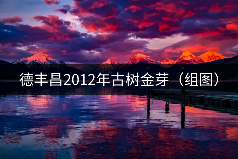 德豐昌2012年古樹金芽(組圖) 德豐昌2012年古樹金芽(組圖)