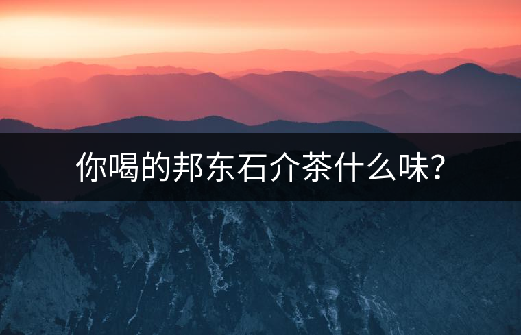 你喝的邦東石介茶什么味？