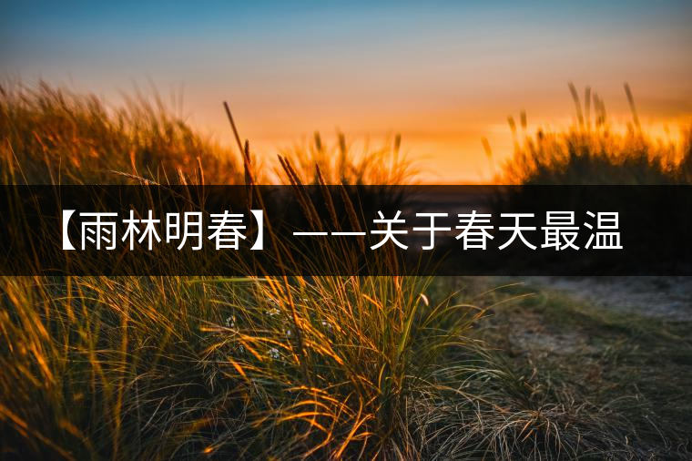 【雨林明春】——關(guān)于春天最溫情的想象