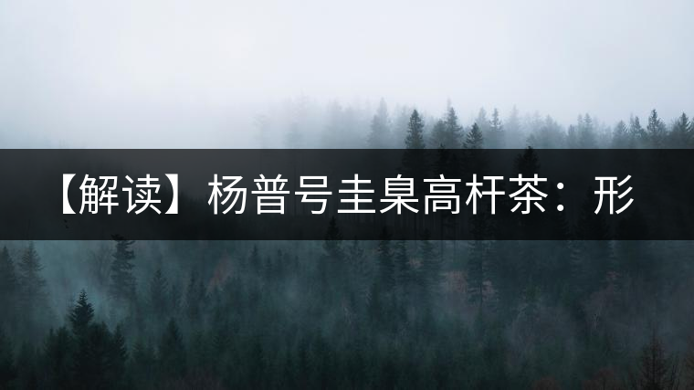 【解讀】楊普號圭臬高桿茶：形高、氣足、韻遠的一款茶