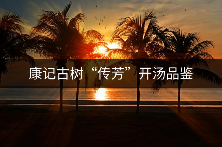 康記古樹“傳芳”開湯品鑒 康記古樹“傳芳”開湯品鑒