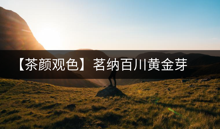 【茶顏觀(guān)色】茗納百川黃金芽之美 【茶顏觀(guān)色】茗納百川黃金芽之美