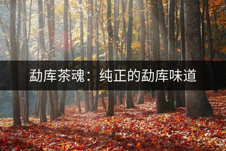 勐庫(kù)茶魂:純正的勐庫(kù)味道 勐庫(kù)茶魂:純正的勐庫(kù)味道