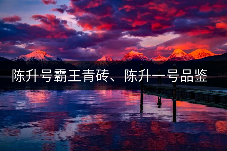 陳升號(hào)霸王青磚、陳升一號(hào)品鑒【圖】