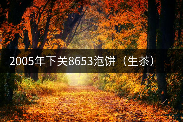 2005年下關8653泡餅（生茶）品評