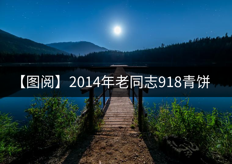 【圖閱】2014年老同志918青餅200克審評