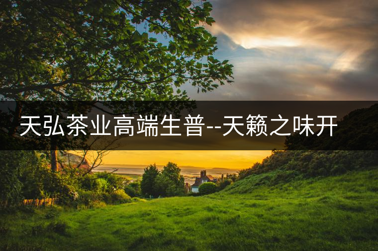 天弘茶業(yè)高端生普--天籟之味開湯 天弘茶業(yè)高端生普--天籟之味開湯