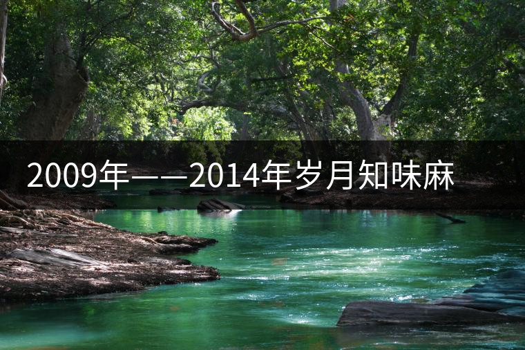2009年——2014年歲月知味麻黑古樹茶審評