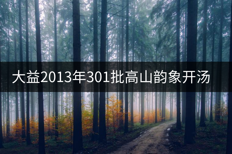 大益2013年301批高山韻象開(kāi)湯品鑒 大益2013年301批高山韻象開(kāi)湯品鑒