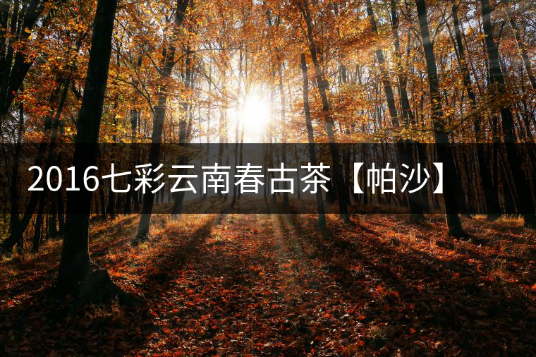 2016七彩云南春古茶【帕沙】開湯——好茶需慢品