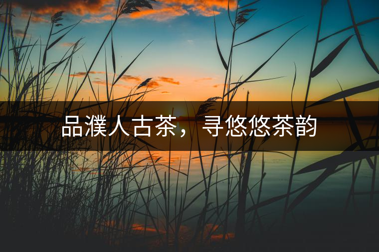 品濮人古茶，尋悠悠茶韻