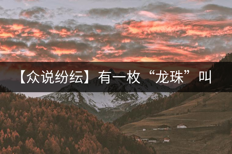 【眾說紛紜】有一枚“龍珠”叫柑普