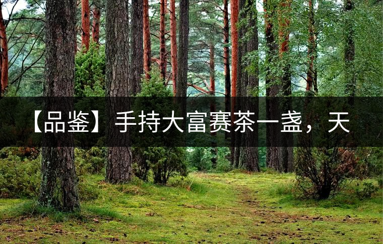 【品鑒】手持大富賽茶一盞，天人合一
