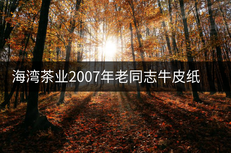 海灣茶業(yè)2007年老同志牛皮紙茶磚開湯品鑒 海灣茶業(yè)2007年老同志牛皮紙茶磚開湯品鑒