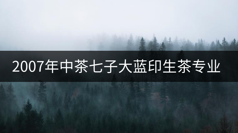 2007年中茶七子大藍(lán)印生茶專業(yè)品評(píng)