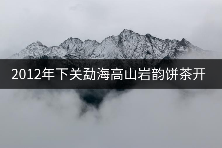 2012年下關(guān)勐海高山巖韻餅茶開湯賞析