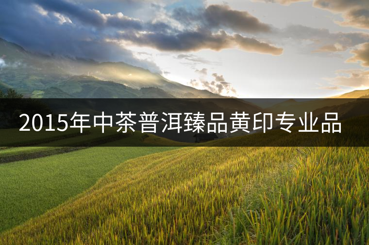 2015年中茶普洱臻品黃印專業(yè)品評
