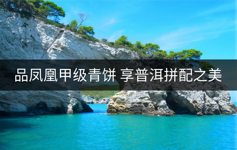 品鳳凰甲級(jí)青餅 享普洱拼配之美 品鳳凰甲級(jí)青餅 享普洱拼配之美