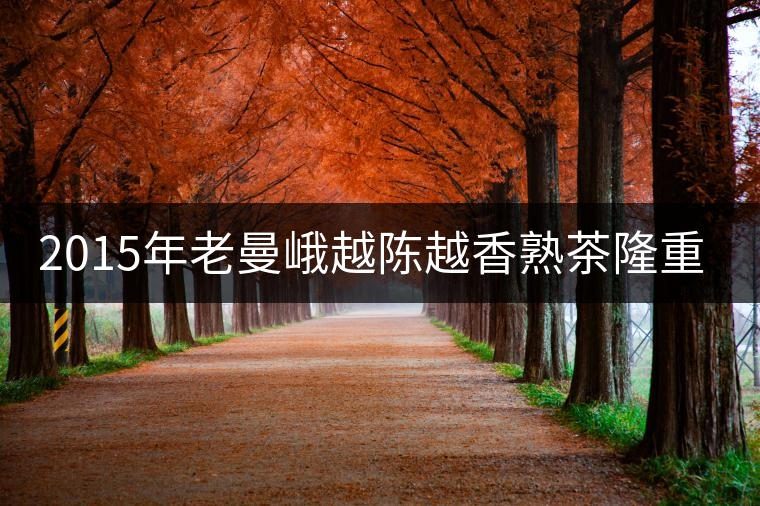 2015年老曼峨越陳越香熟茶隆重上市！