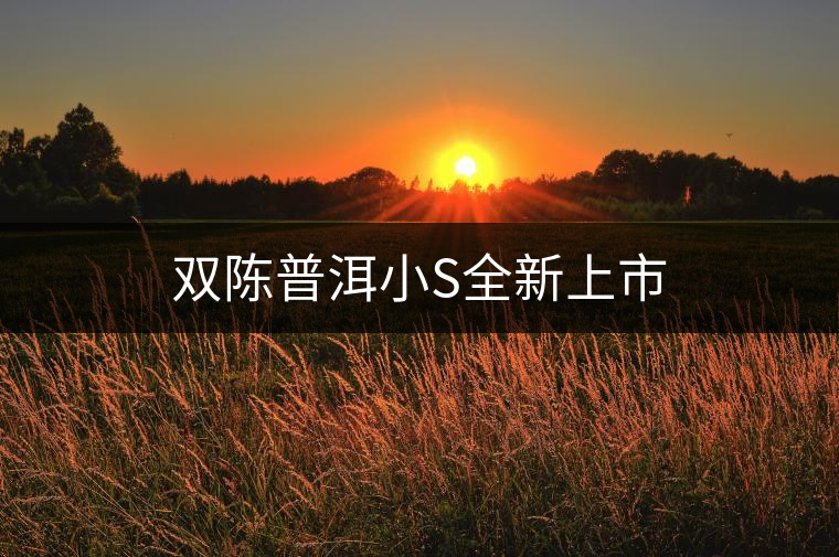 雙陳普洱小S全新上市