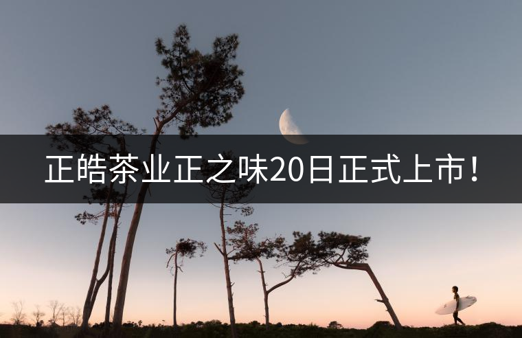 正皓茶業(yè)正之味20日正式上市！