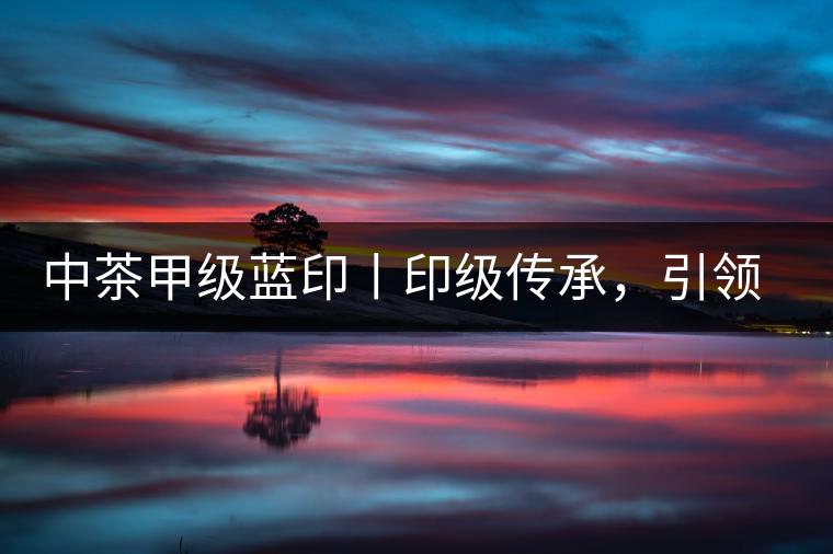 中茶甲級藍印丨印級傳承，引領(lǐng)風(fēng)韻