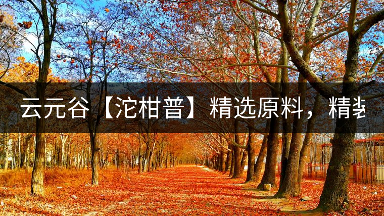 云元谷【沱柑普】精選原料，精裝上市！