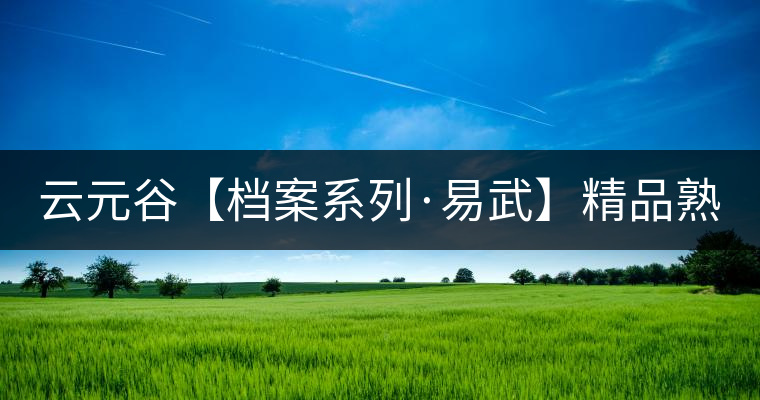 云元谷【檔案系列·易武】精品熟茶，精裝上市！