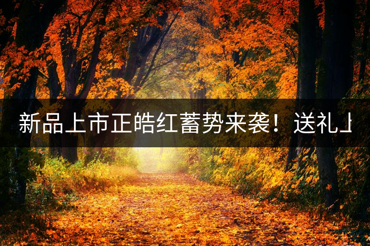 新品上市正皓紅蓄勢來襲！送禮上上之選！