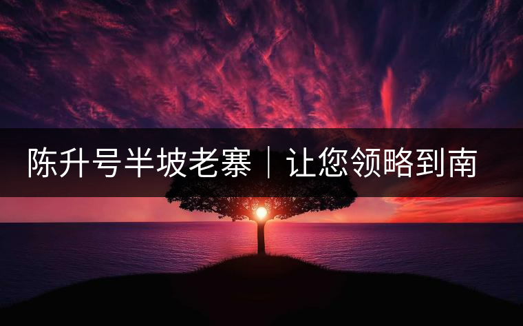 陳升號半坡老寨｜讓您領略到南糯山大樹茶口感的地道！