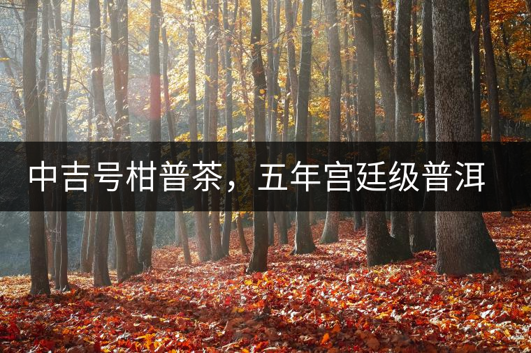 中吉號(hào)柑普茶，五年宮廷級(jí)普洱陳料上市啦！