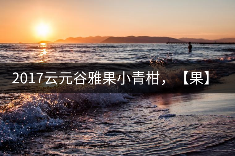 2017云元谷雅果小青柑，【果】真來了