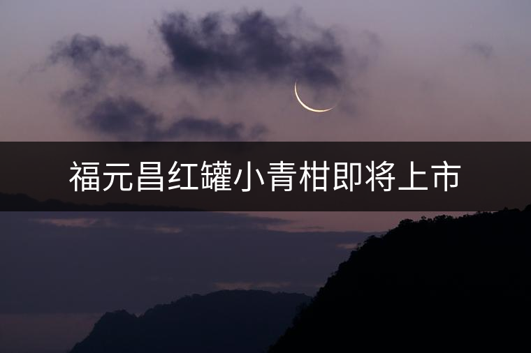 福元昌紅罐小青柑即將上市