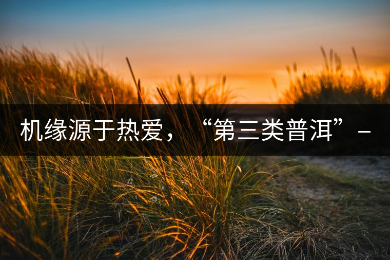 機(jī)緣源于熱愛(ài)，“第三類(lèi)普洱”——“散壓茶TM”的誕生。