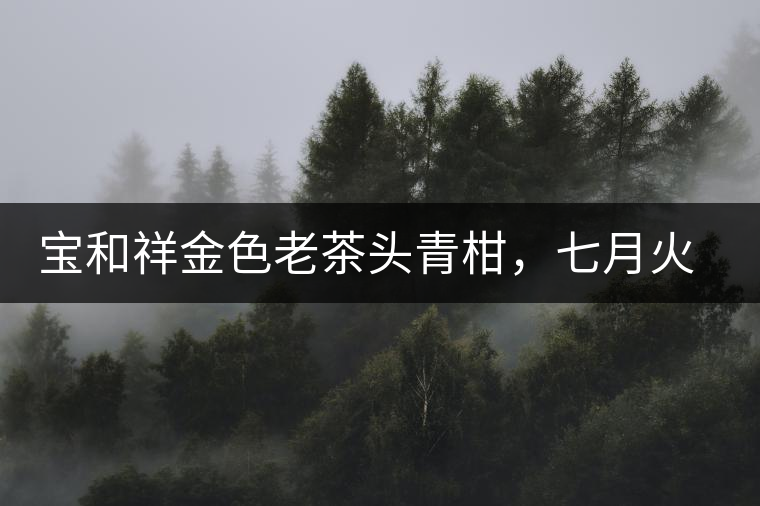 寶和祥金色老茶頭青柑，七月火熱上市