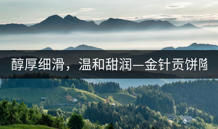 醇厚細(xì)滑，溫和甜潤—金針貢餅隆重上市！