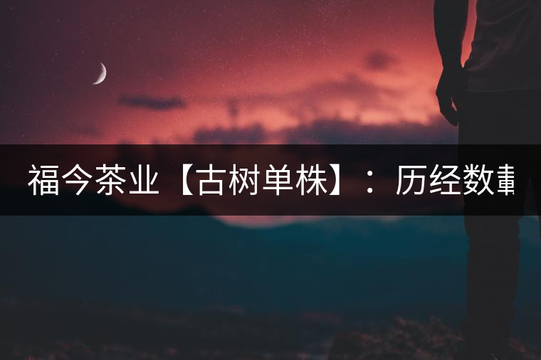 福今茶業(yè)【古樹單株】:歷經(jīng)數(shù)載 終將成器 福今茶業(yè)【古樹單株】:歷經(jīng)數(shù)載 終將成器