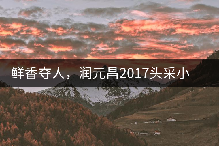 鮮香奪人，潤(rùn)元昌2017頭采小青柑即將上市
