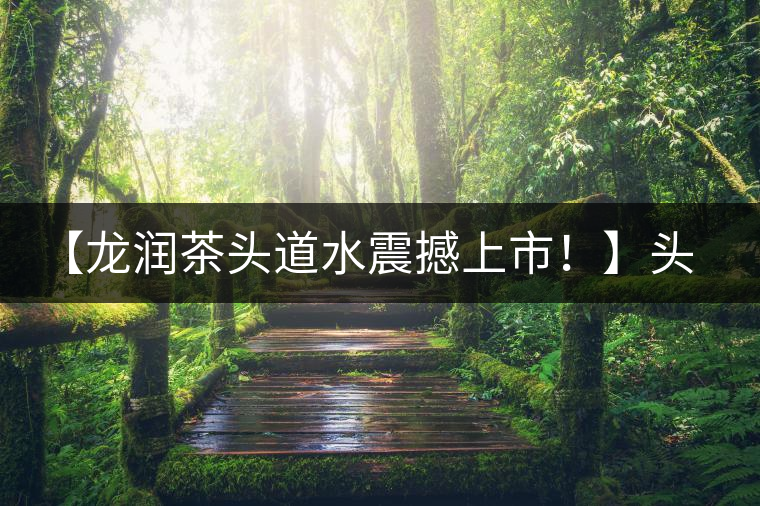 【龍潤茶頭道水震撼上市！】頭道水，二道茶，三道四道是精華！