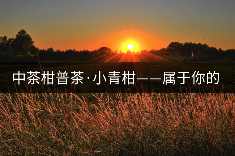 中茶柑普茶·小青柑——屬于你的小心柑