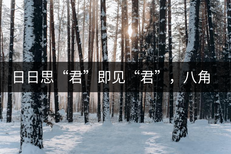 日日思“君”即見(jiàn)“君”，八角亭竹筒茶君子即將上市