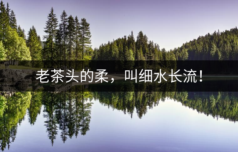 老茶頭的柔，叫細水長流！