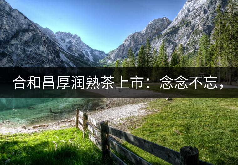 合和昌厚潤熟茶上市：念念不忘，必有回響！