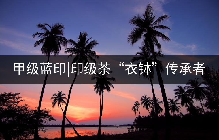 甲級藍印|印級茶“衣缽”傳承者