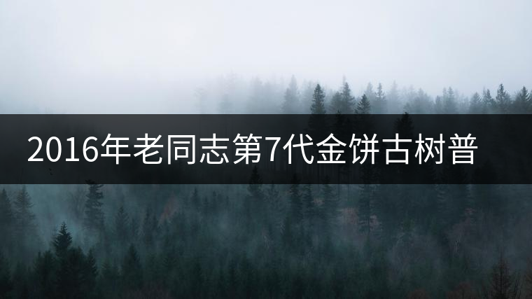 2016年老同志第7代金餅古樹(shù)普洱熟茶今天上市！